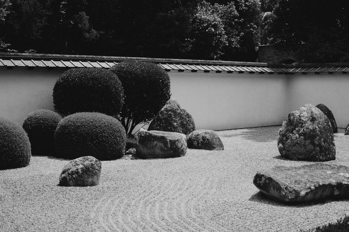 Mindfulness cotidiano